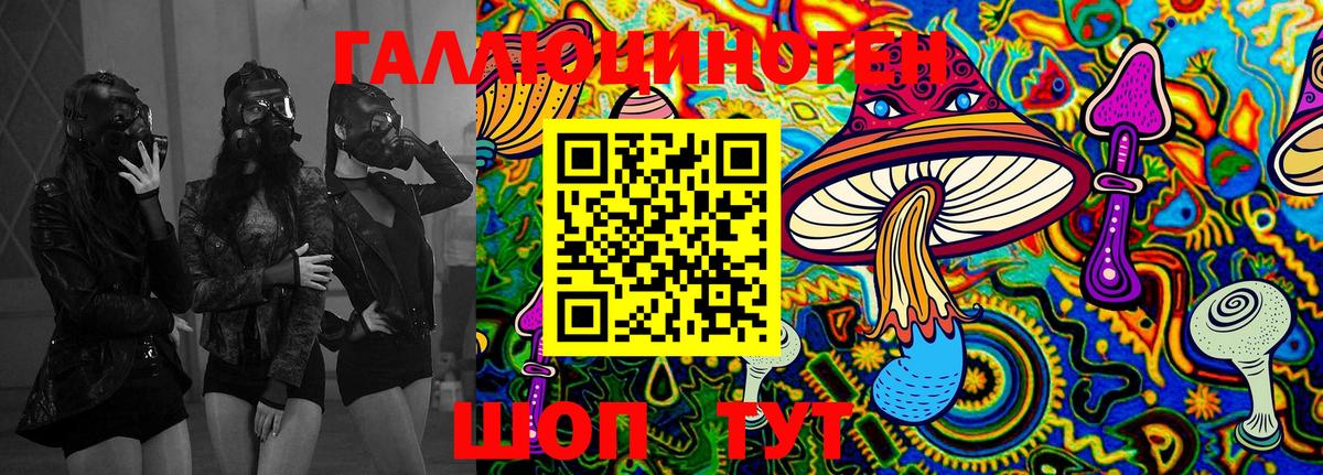Псилоцибиновые грибы мухоморы Чернушка
