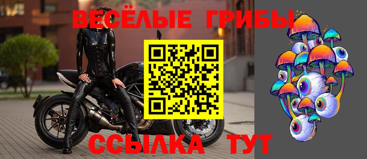 Псилоцибиновые грибы Magic Shrooms  Вход с VPN  где продают наркотики  Чернушка  Галлюциногенные грибы MAGIC MUSHROOMS 